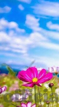 2021国产麻豆剧传媒-瞭望2021国产麻豆剧传媒的崛起与挑战，艺术与商业的交织