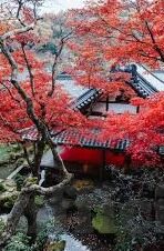 国产果冻剧传媒-国产果冻剧传媒，新时代的文化软实力与年轻一代的娱乐新宠
