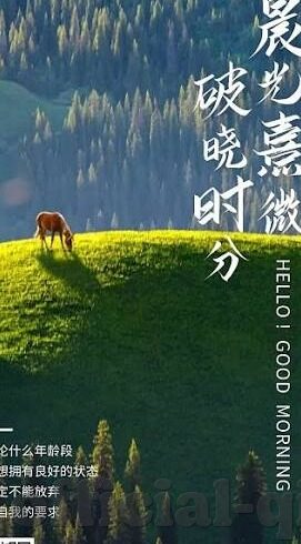 麻豆91入口-麻豆91，网络世界的一抹色彩